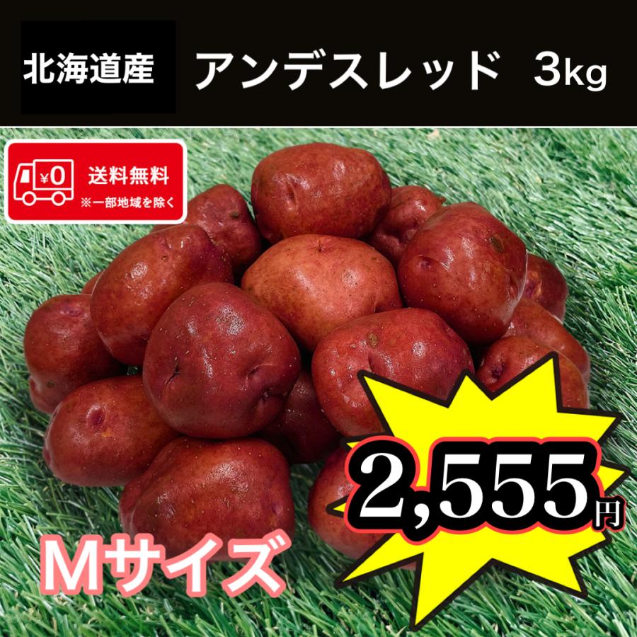 送料無料 北海道産 アンデスレッド Mサイズ 3kg じゃがいも 馬鈴薯