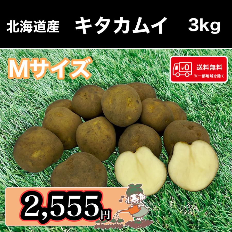 送料無料 北海道産 キタカムイ Mサイズ以上 3kg じゃがいも 馬鈴薯