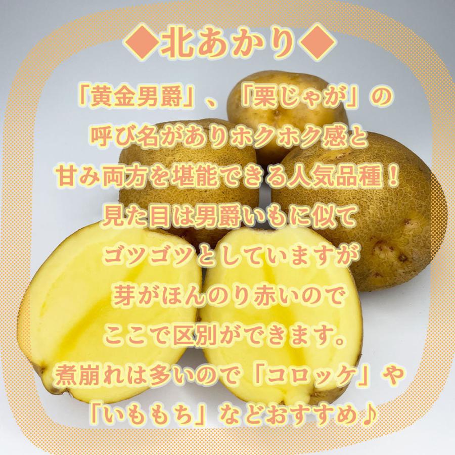 送料無料 北海道産 北あかり 20kg Mサイズ じゃがいも 馬鈴薯 お得な大容量｜futabaya12｜03