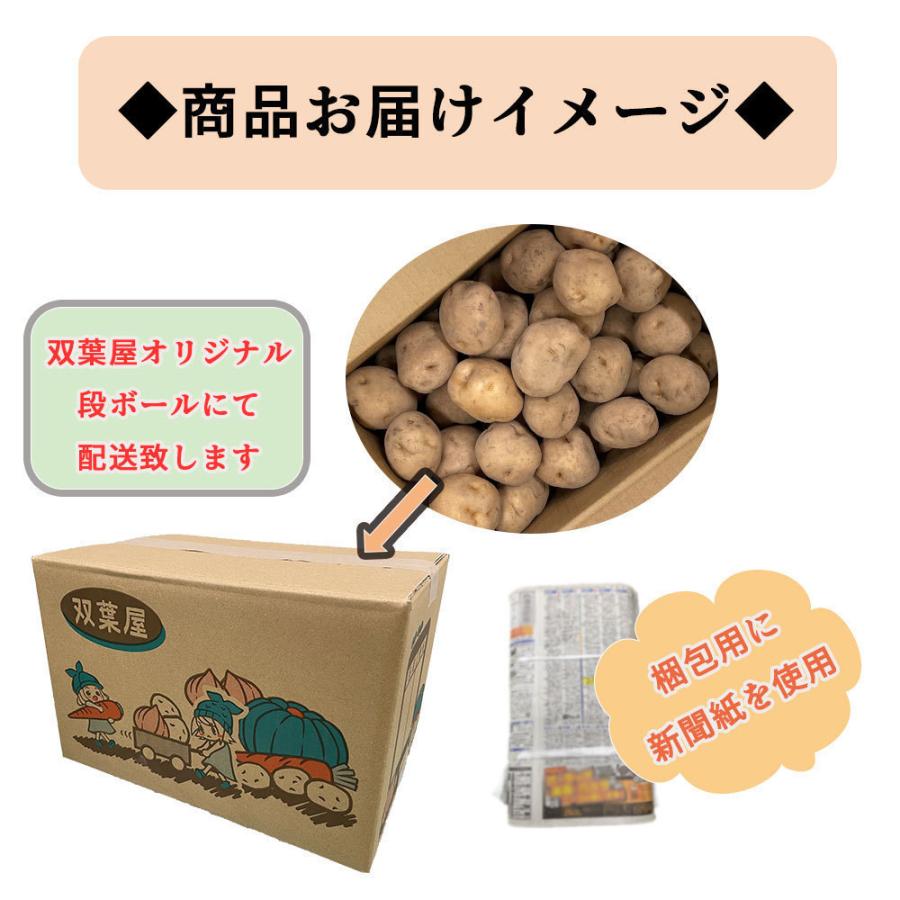 送料無料 北海道産 北あかり 20kg Mサイズ じゃがいも 馬鈴薯 お得な大