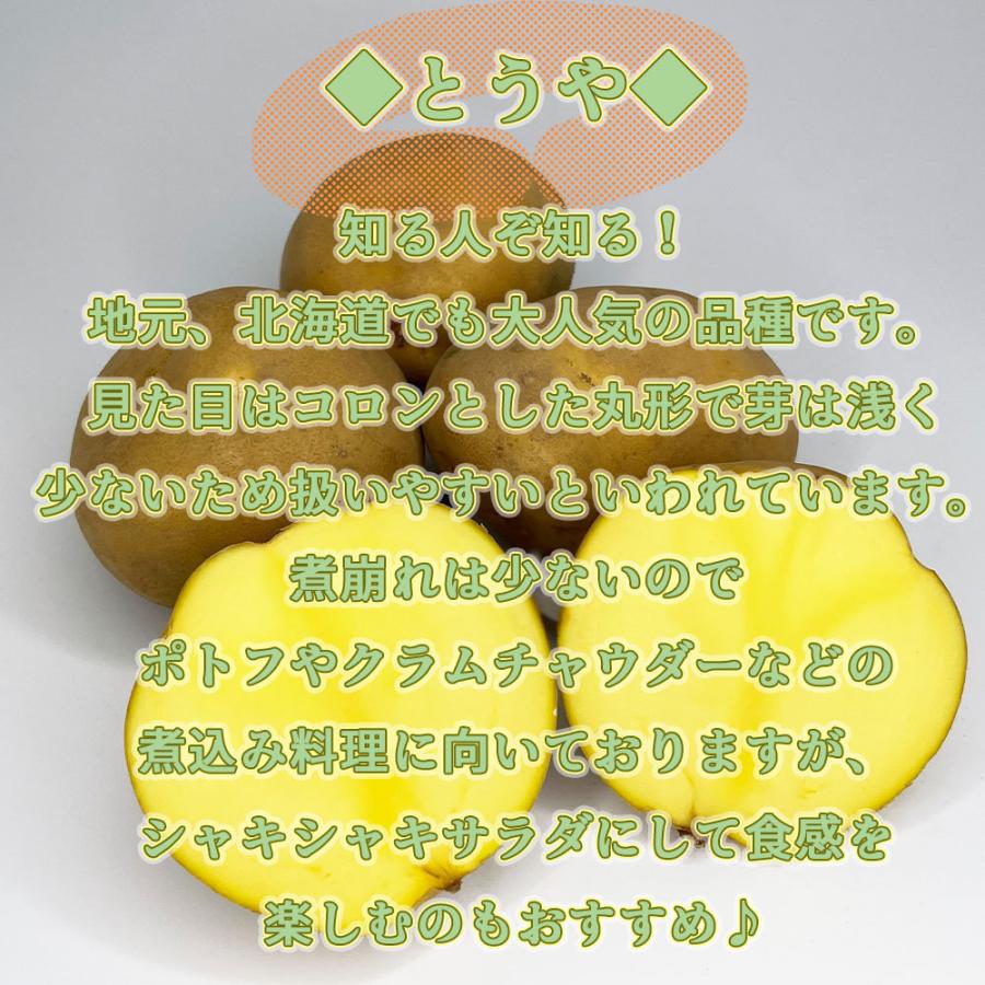 送料無料 北海道産 とうや 20kg Mサイズ じゃがいも 馬鈴薯 お得な大