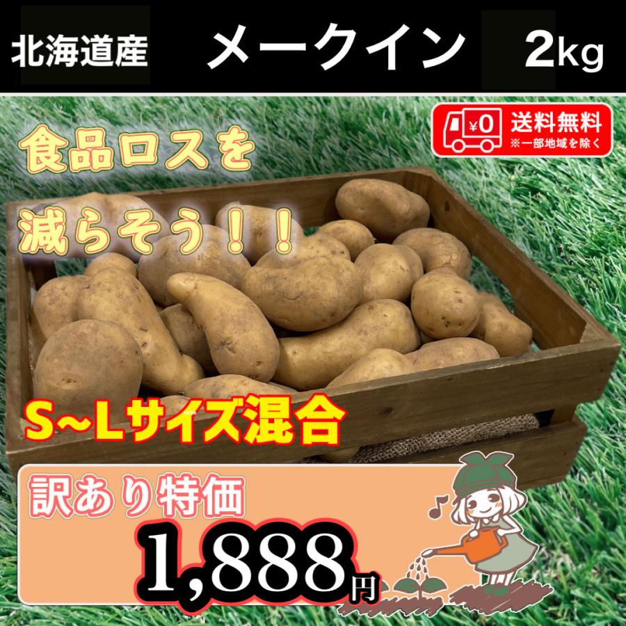 北海道産 メークイン 訳あり 食品ロス S〜Lサイズ混合 2kg 送料無料
