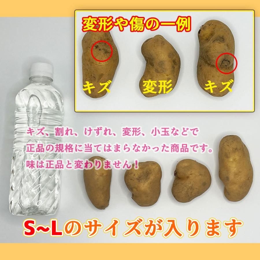 北海道産 メークイン 訳あり 食品ロス S〜Lサイズ混合 2kg 送料無料