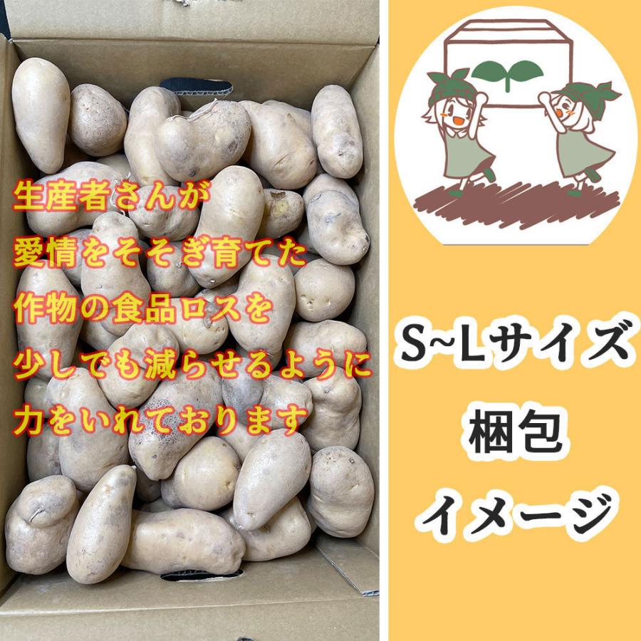 北海道産 メークイン 訳あり 食品ロス S〜Lサイズ混合 2kg 送料無料