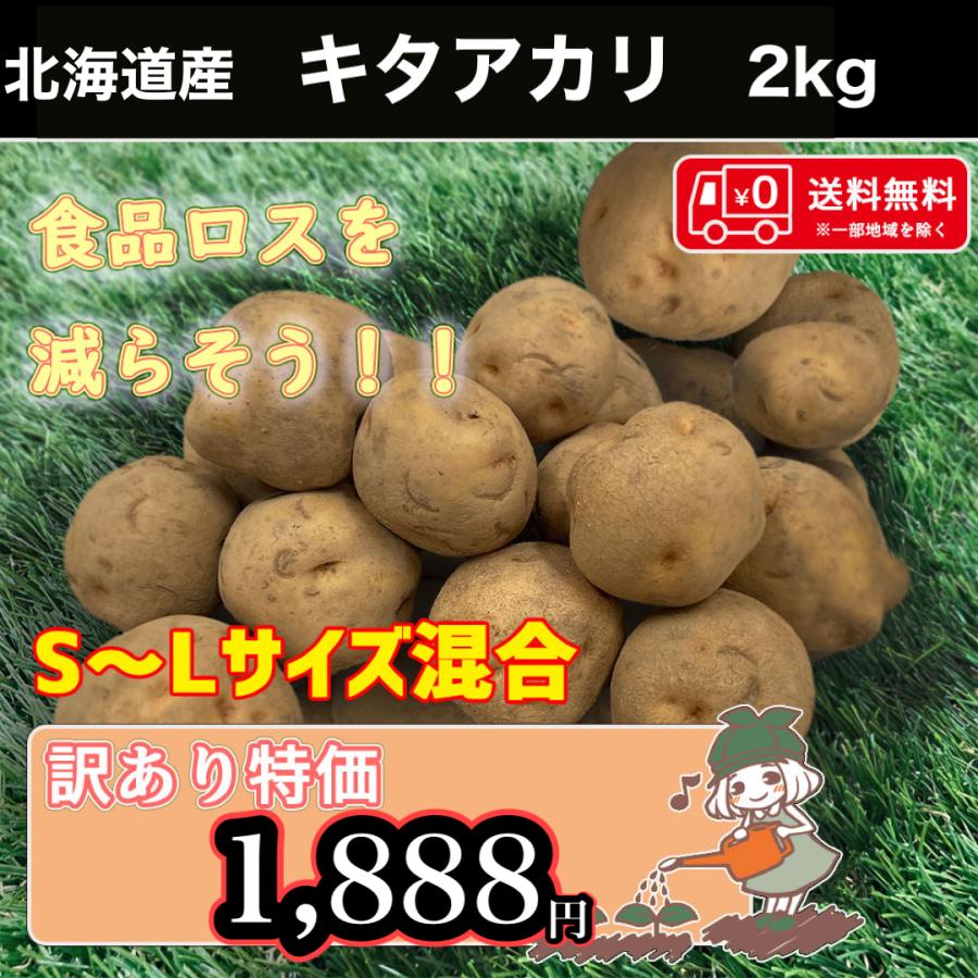 北海道産 北あかり 訳あり 食品ロス S〜Lサイズ混合 2kg 送料 北海道産 北あかり 訳あり 食品ロス S〜Lサイズ混合 2kg 送料