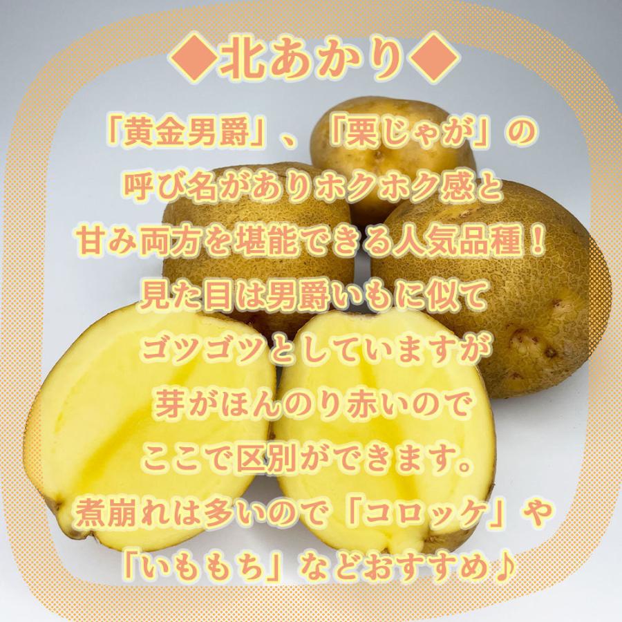 北海道産 北あかり 訳あり 食品ロス S〜Lサイズ混合 2kg 送料無料