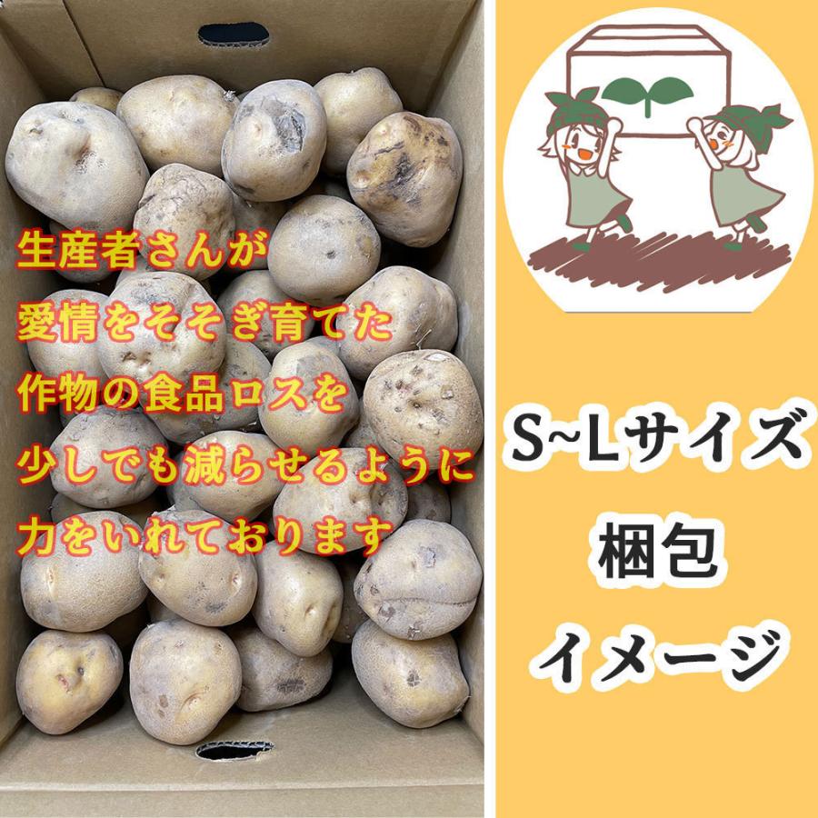 北海道産 北あかり 訳あり 食品ロス S〜Lサイズ混合 2kg 送料無料