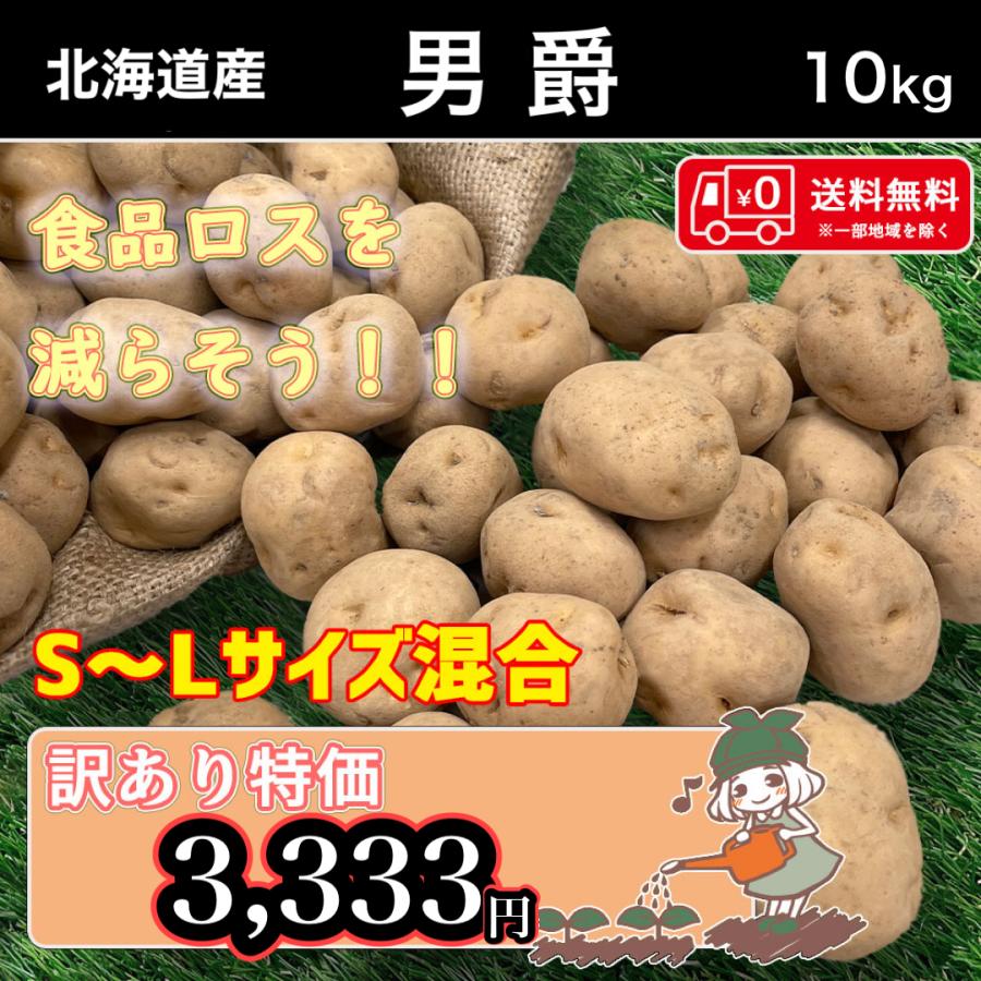 送料無料 数量限定 北海道産 男爵いも 訳あり 食品ロス S〜Lサイズ混合 約10kg 爆買い！