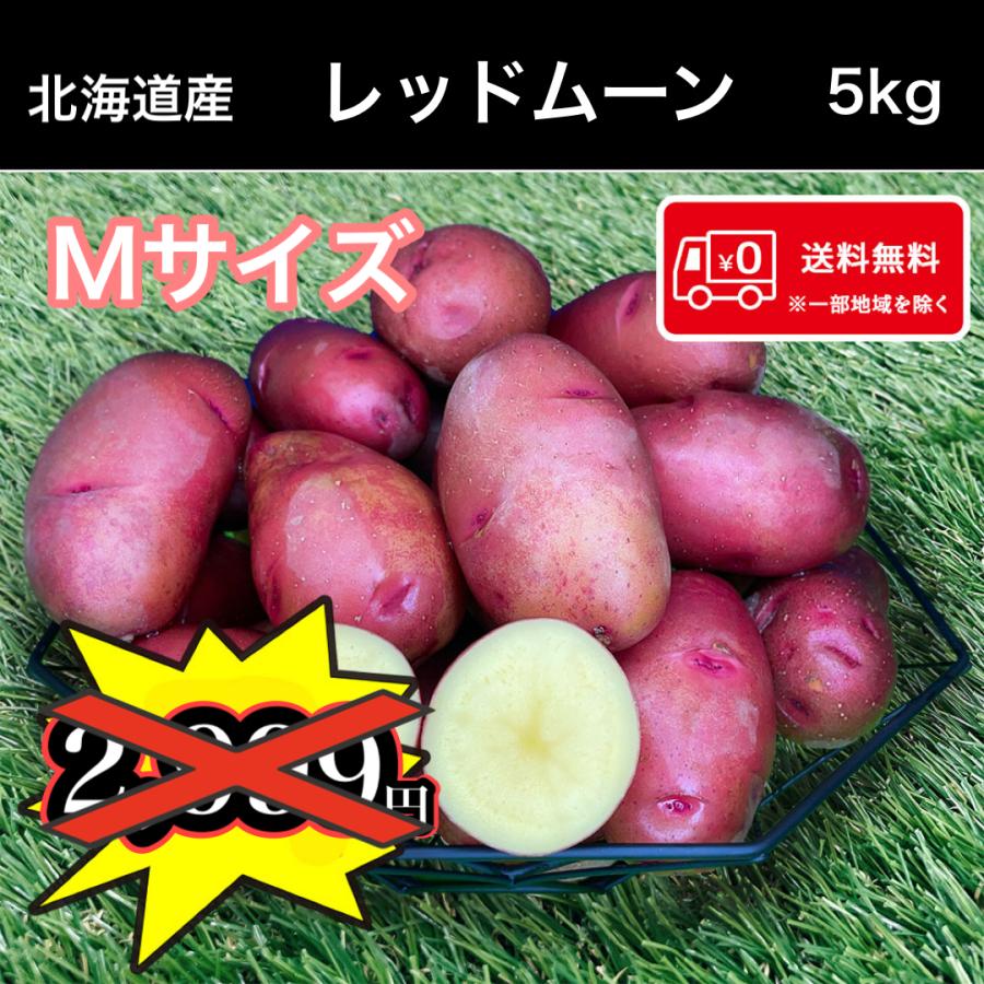 送料無料 北海道産 レッドムーン Mサイズ 5kg じゃがいも 馬鈴薯 :y-j-66:株式会社 双葉屋 - 通販 - Yahoo!ショッピング 送料無料 北海道産 レッドムーン Mサイズ 5kg じゃがいも 馬鈴薯 :y-j-66:株式会社 双葉屋 - 通販 - Yahoo!ショッピング