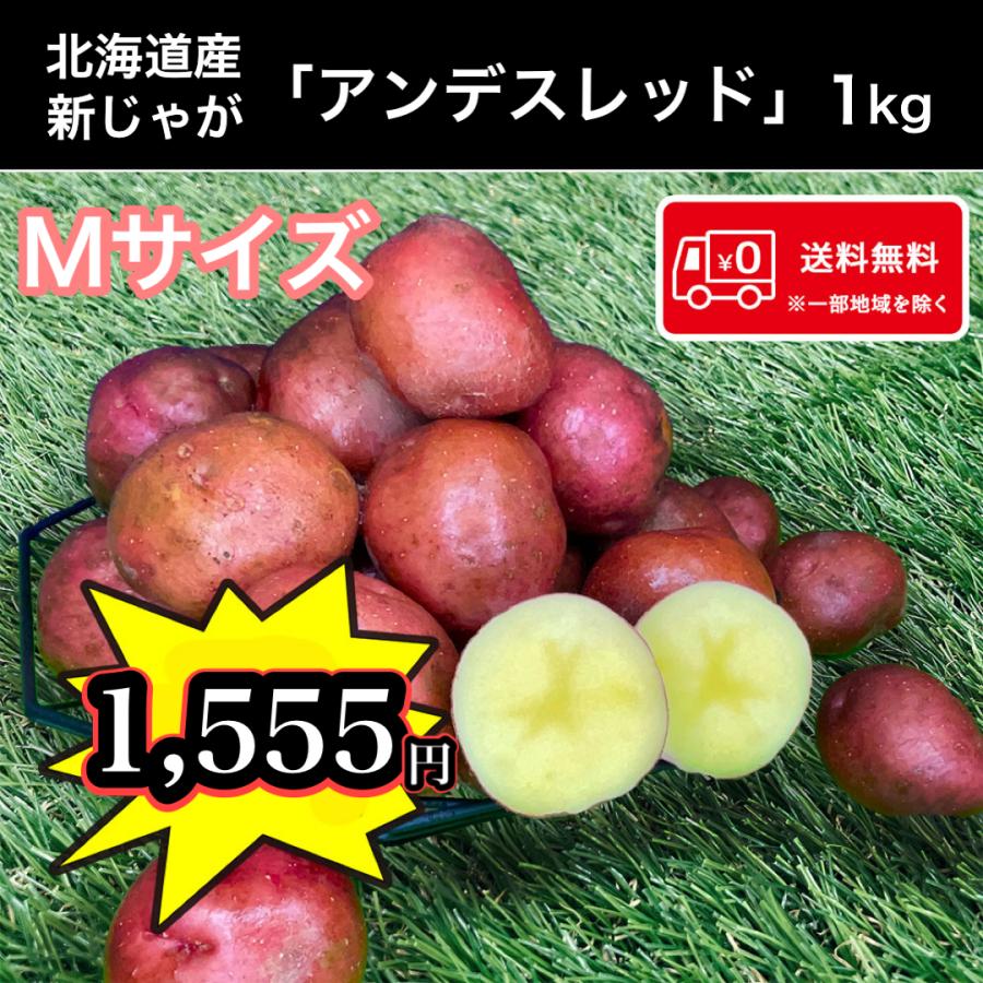 保証 ≪週末限定価格 希少じゃがいも1kgお試し販売≫ 北海道産 アンデスレッド Mサイズ 1ｋｇ 送料無料 馬鈴薯