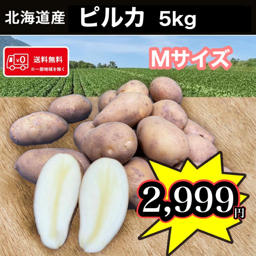 爆売り!】 予約受付中 新じゃがいも 送料無料 北海道産 インカのめざめ S〜L混合サイズ:5kg じゃがいも ジャガイモ 5キロ 取り寄せ 北海道 目覚め 爆売り!】 予約受付中 新じゃがいも 送料無料 北海道産 インカのめざめ S〜L混合サイズ:5kg じゃがいも ジャガイモ 5キロ 取り寄せ 北海道 目覚め
