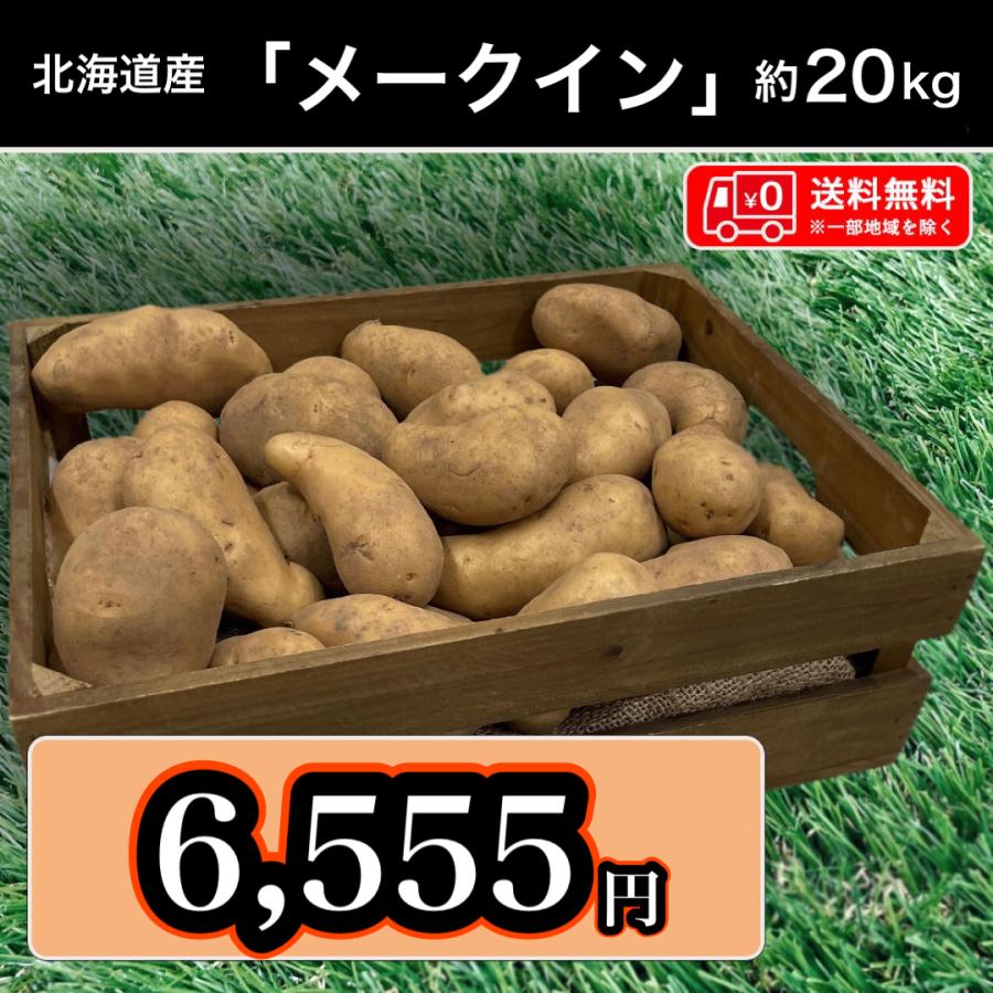 送料無料 北海道産 メークイン Mサイズ 20kg じゃがいも 馬鈴薯 お得な