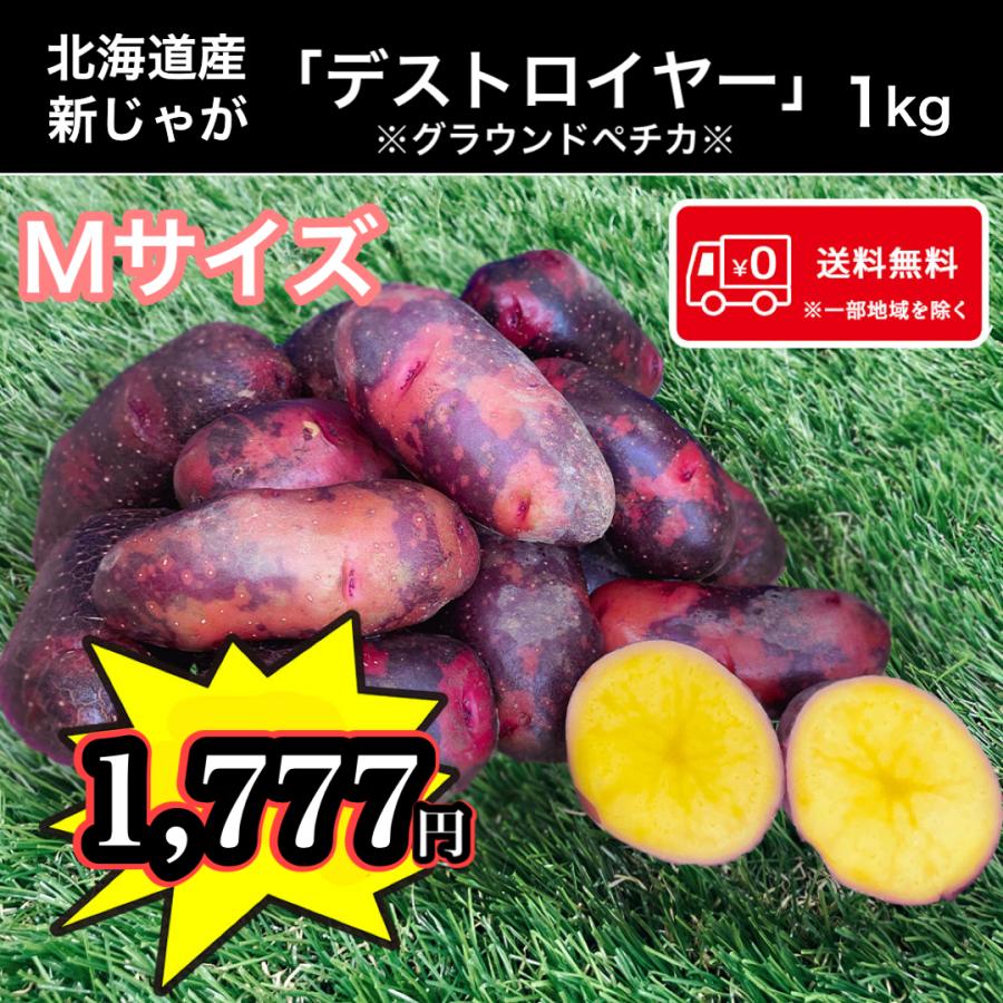 最新な 人気の雑貨がズラリ 希少じゃがいも 北海道産 デストロイヤー LMサイズ 1kg 送料無料 お試し 馬鈴薯 if-nagahama.com if-nagahama.com