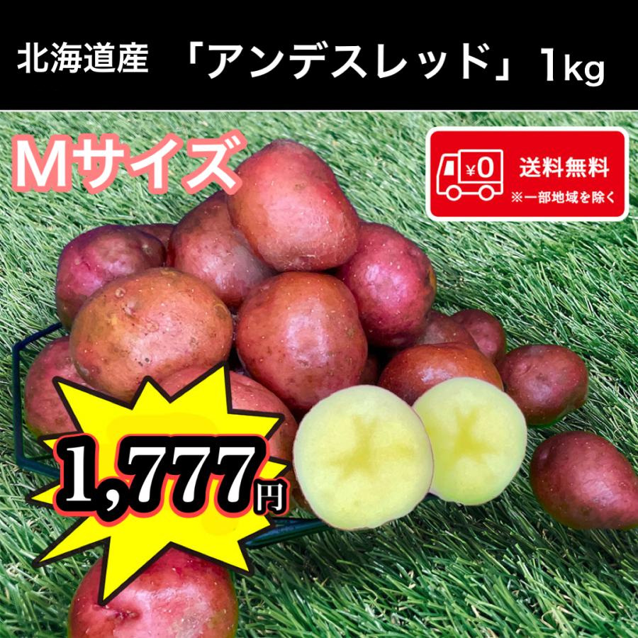 希少じゃがいも 北海道産 アンデスレッド Mサイズ 1kg 送料無料 お試し 馬鈴薯 Y J 95 株式会社 双葉屋 通販 Yahoo ショッピング