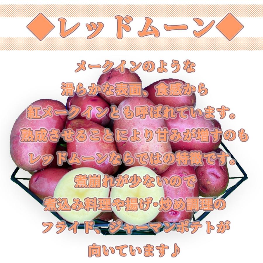 希少じゃがいも 北海道産 レッドムーン Mサイズ 1kg 送料無料 お試し