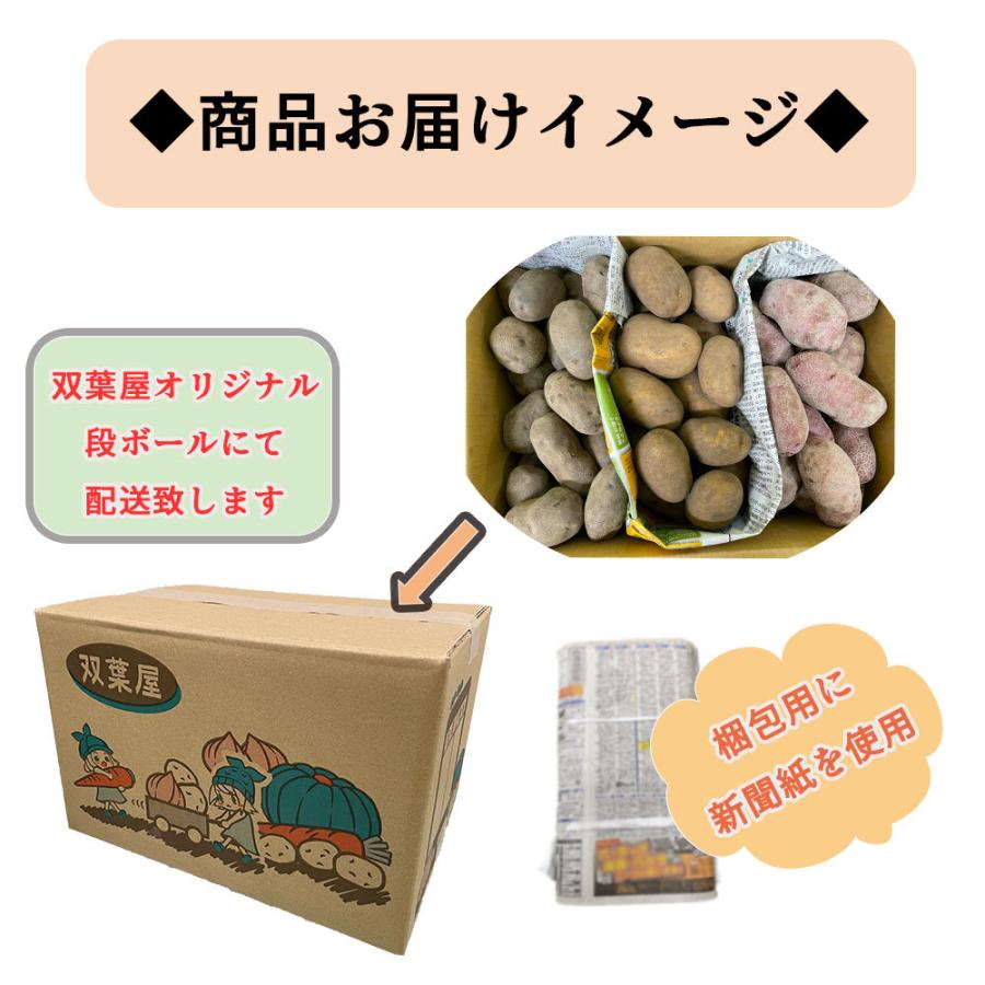 【週末限定価格】北海道産 カラフルポテト 3種食べ比べセット Sサイズ 1kg 送料無料｜futabaya12｜02