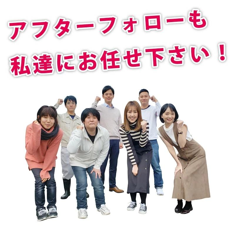 防ダニ布団  4点セット ダニゼロックsp ダブル 掛け・敷き・マクラ2個の画像