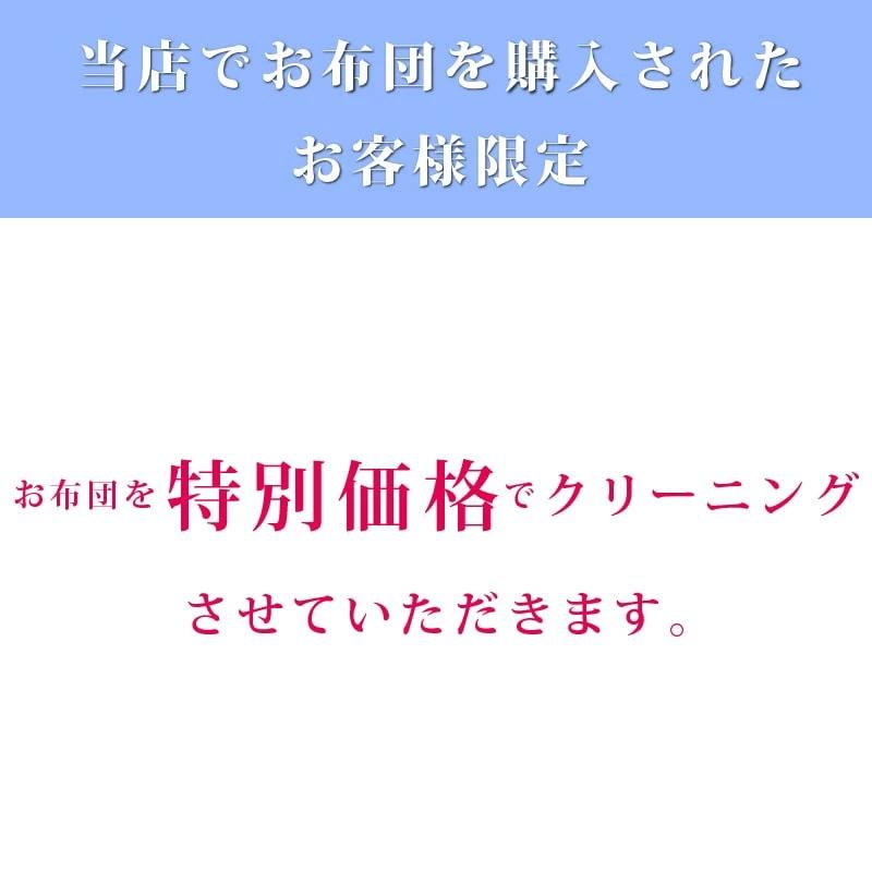 防ダニ布団  4点セット ダニゼロックsp ダブル 掛け・敷き・マクラ2個の画像