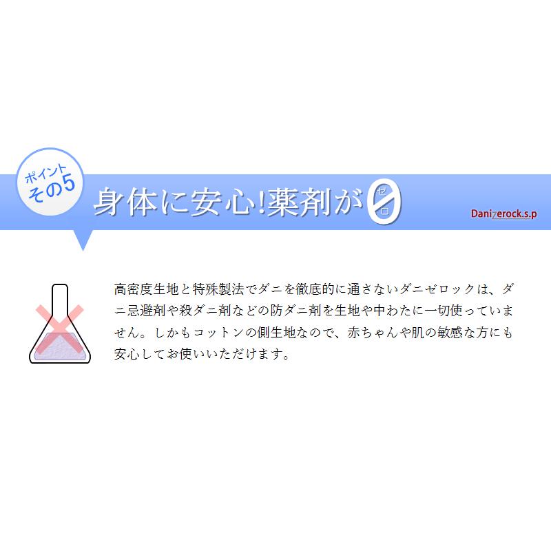 防ダニ布団  4点セット ダニゼロックsp ダブル 掛け・敷き・マクラ2個の画像