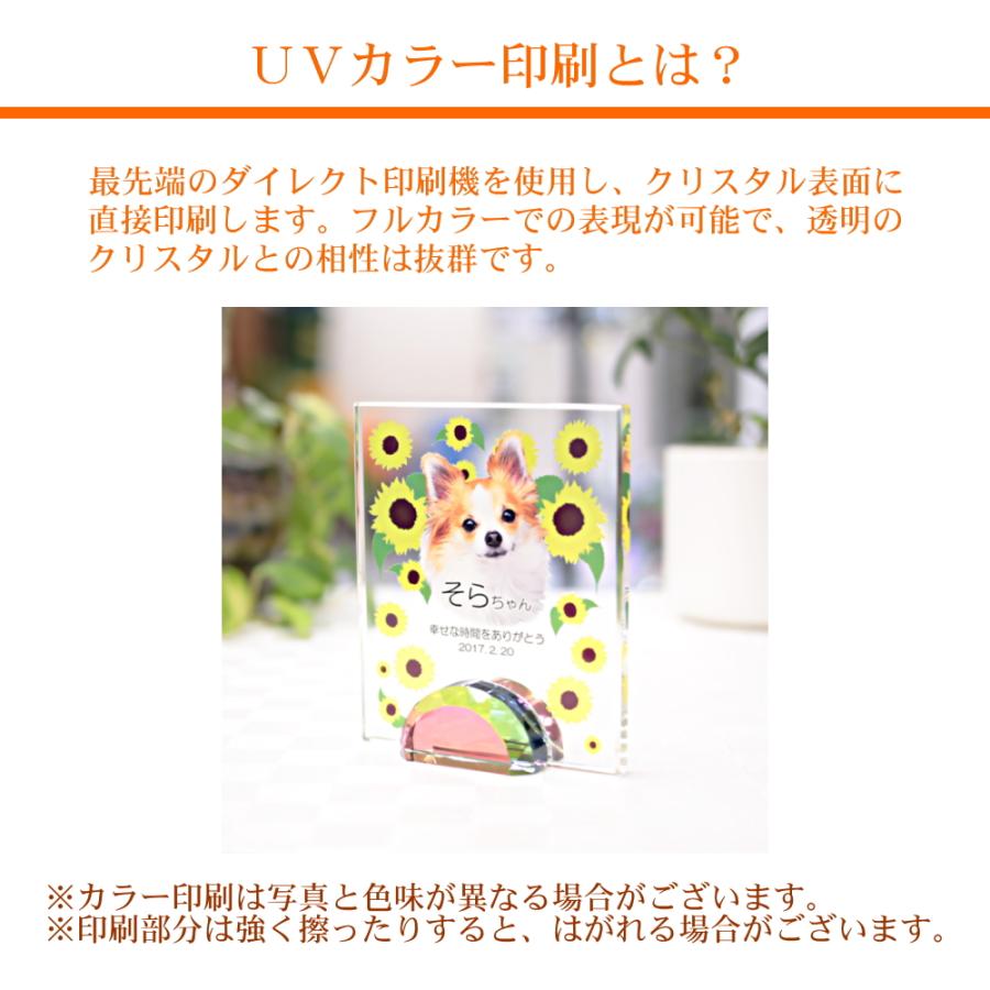 ⭐︎Perth 大量フォトセット750枚↑色々おまけ付き Amazon.co.jp