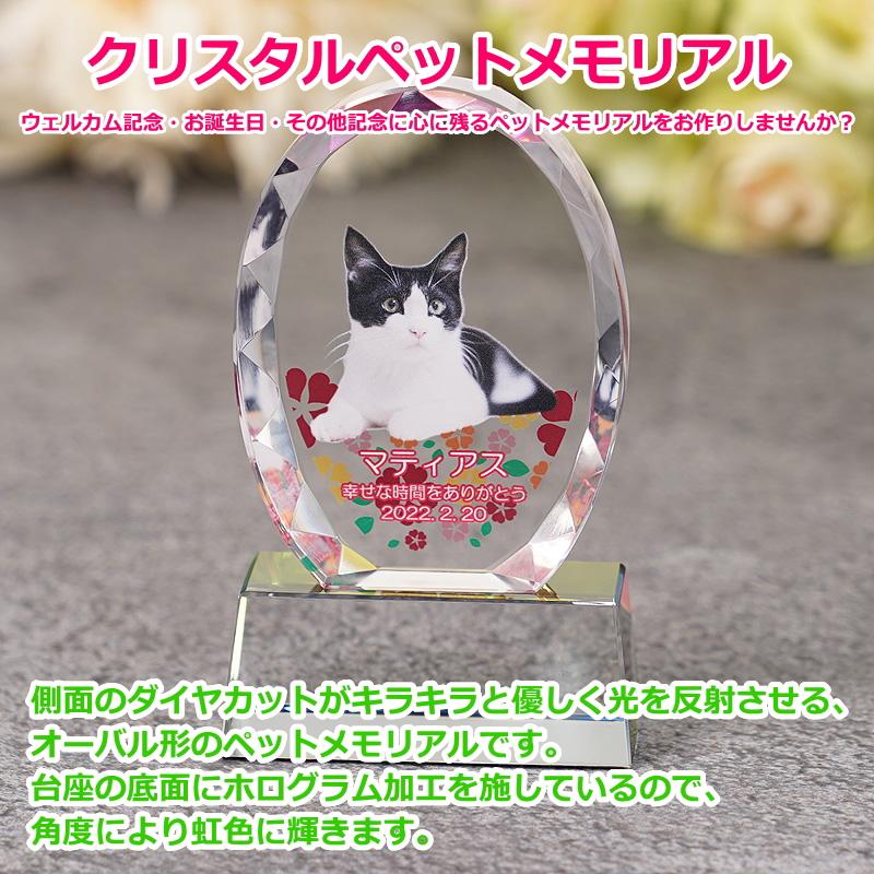 かわいい ペットメモリアル クリスタル オーバル形（大）kp-32u フォト