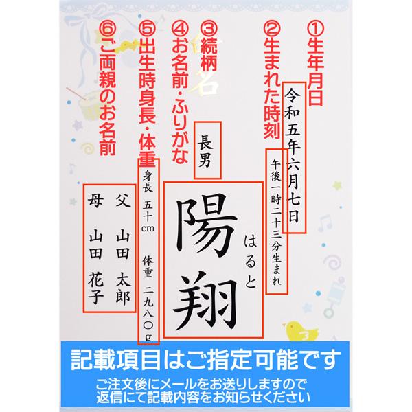 命名書 男の子用 命名紙 名入れ オーダー お祝い 記念 出産 ベビー