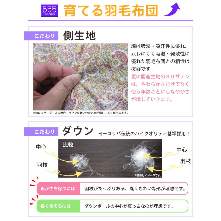 羽毛布団 夏用 羽毛肌布団 グース93% ダブル 190×210 立体キルト 80