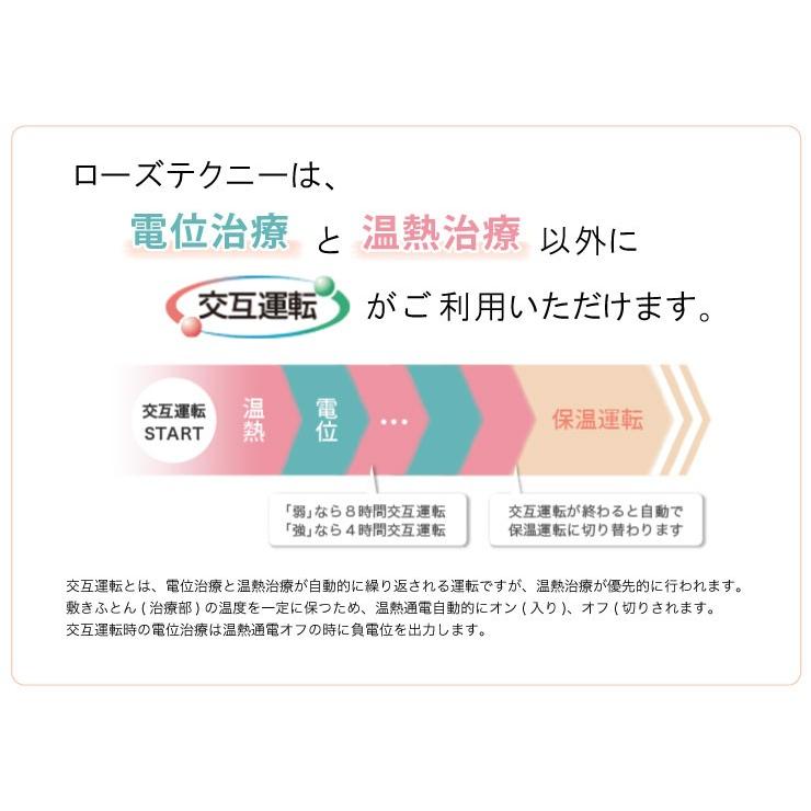 ローズテクニー【JNR-1003（SGI）No.90】電位・温熱組合せ家庭用医療
