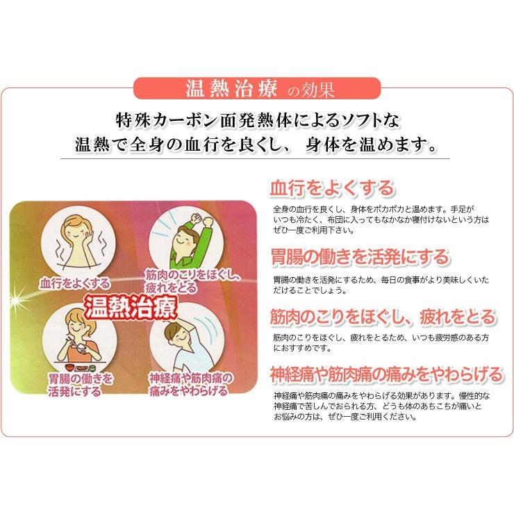 ローズテクニー【JNR-1003（SGI）No.90】電位・温熱組合せ家庭用医療