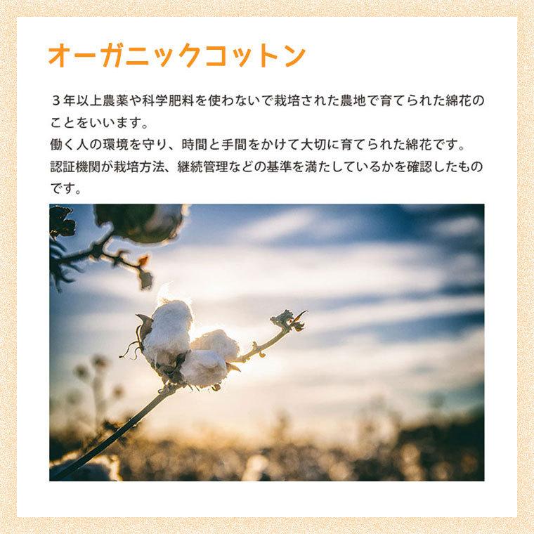 ロマンス小杉 【オーガニックコットン使用】ふかふかケットPlus