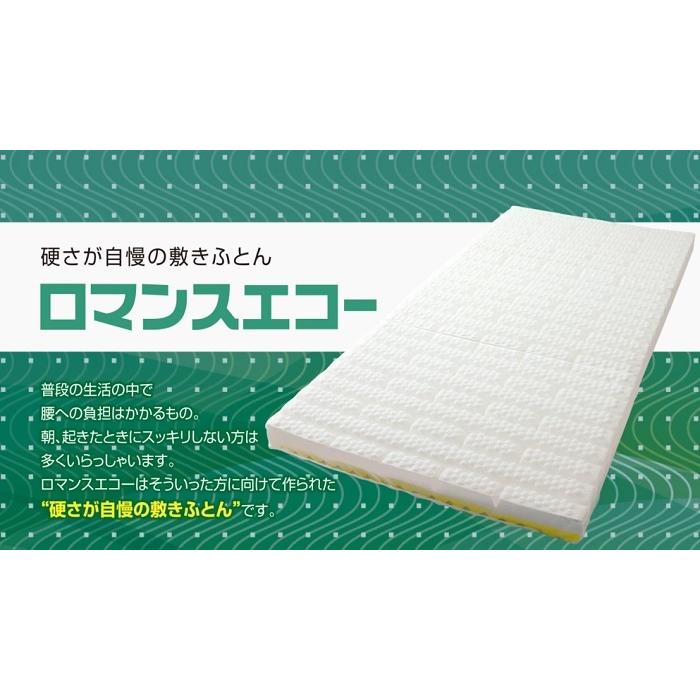 ロマンス小杉 【専用カバーと除湿シートプレゼント】ロマンスエコー