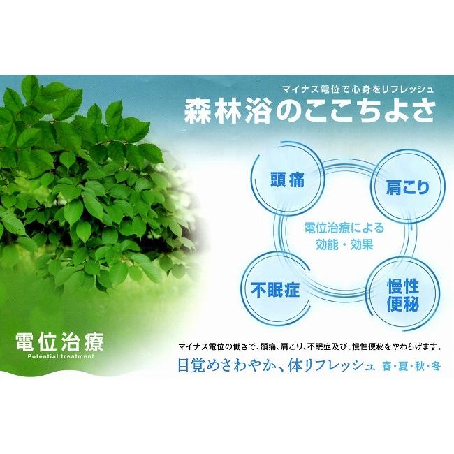 西川（nishikawa） 【特典】西川 リケア 24+ 家庭用電位治療器 Re:care
