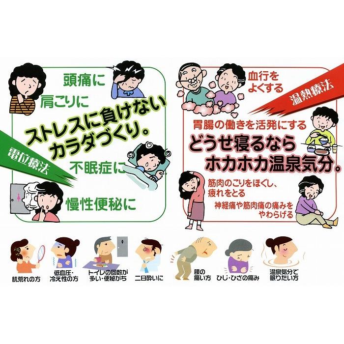 西川（nishikawa） 【専用カバープレゼント】 ローズテクニー LS2 電位