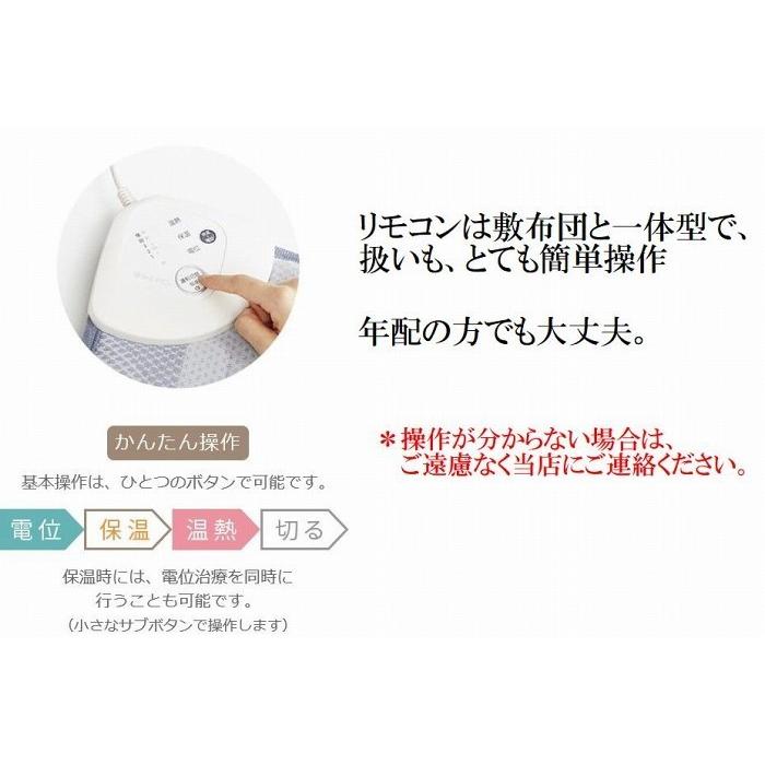 西川（nishikawa） 【専用カバーと除湿シートプレゼント