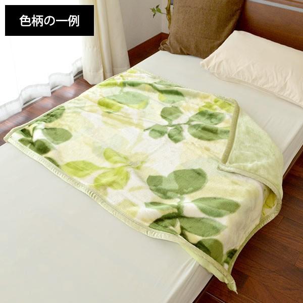 訳あり品 ひざ掛け毛布 90×120cm 2枚合わせ 膝掛け 暖かい毛布