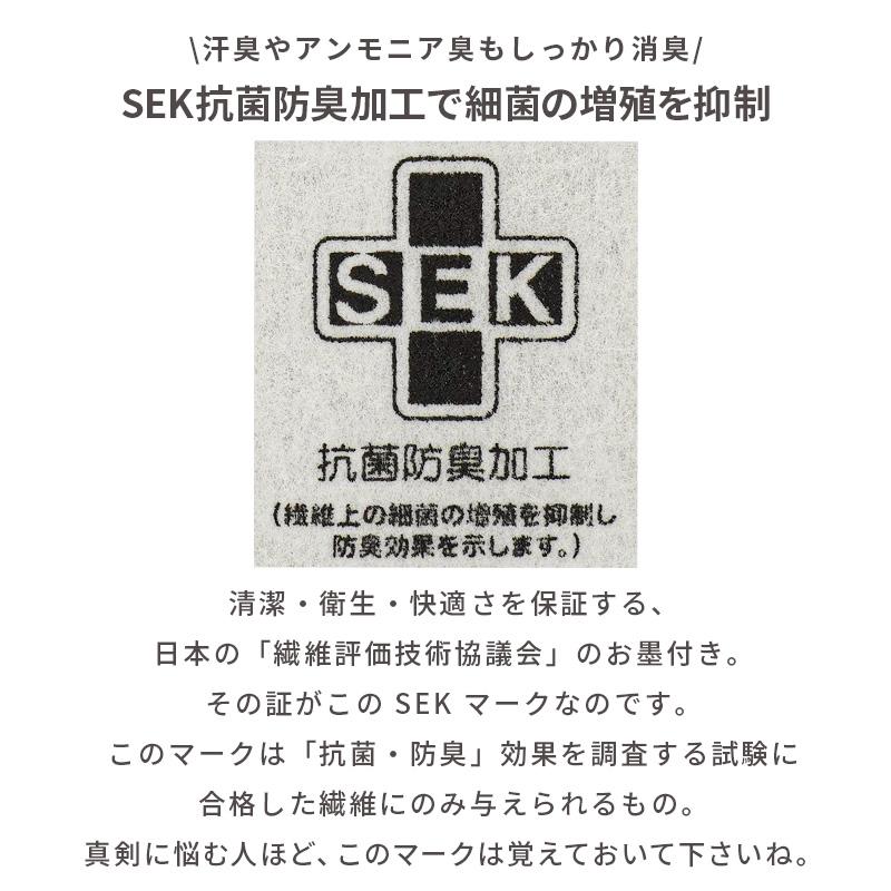 西川（nishikawa） 除湿シート ドライウェル セミダブル 日本製 抗菌