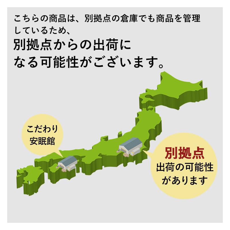 西川 除湿シート ダブル サラネル シリカゲル 消臭 除湿マット 西川 除湿シート ダブル サラネル シリカゲル 消臭 除湿マット