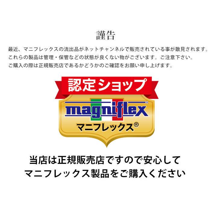 magniflex（マニフレックス） ファンクッションII 背もたれ付き チェア
