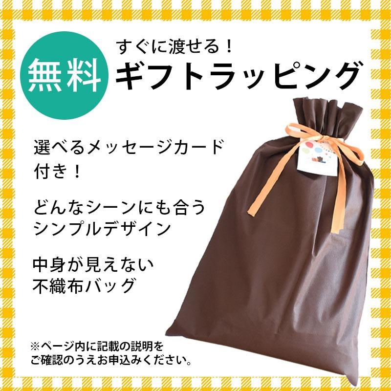MOGU（モグ） ビーズクッション リップ 日本製 クッション ラッピング