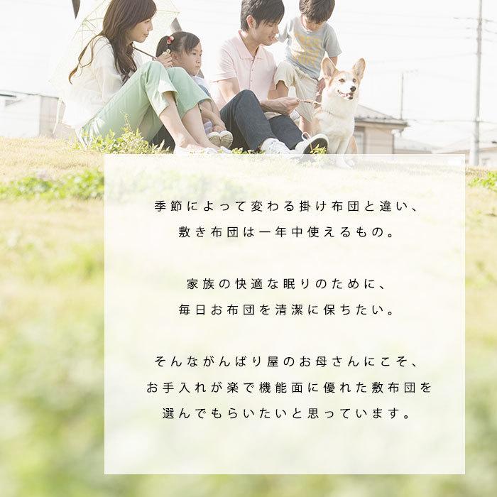 敷き布団 敷布団 敷きふとん シングル 2枚セット set 日本製 抗菌 防臭