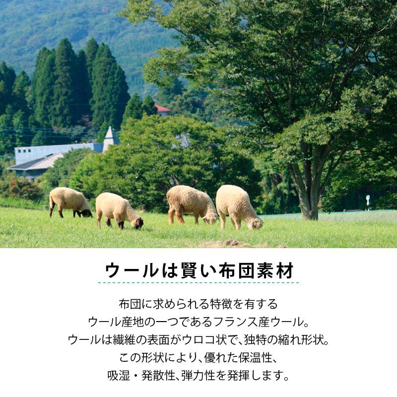 羊毛 掛け布団 シングル 日本製 抗菌 防臭 防ダニ ウール50％ 羊毛混