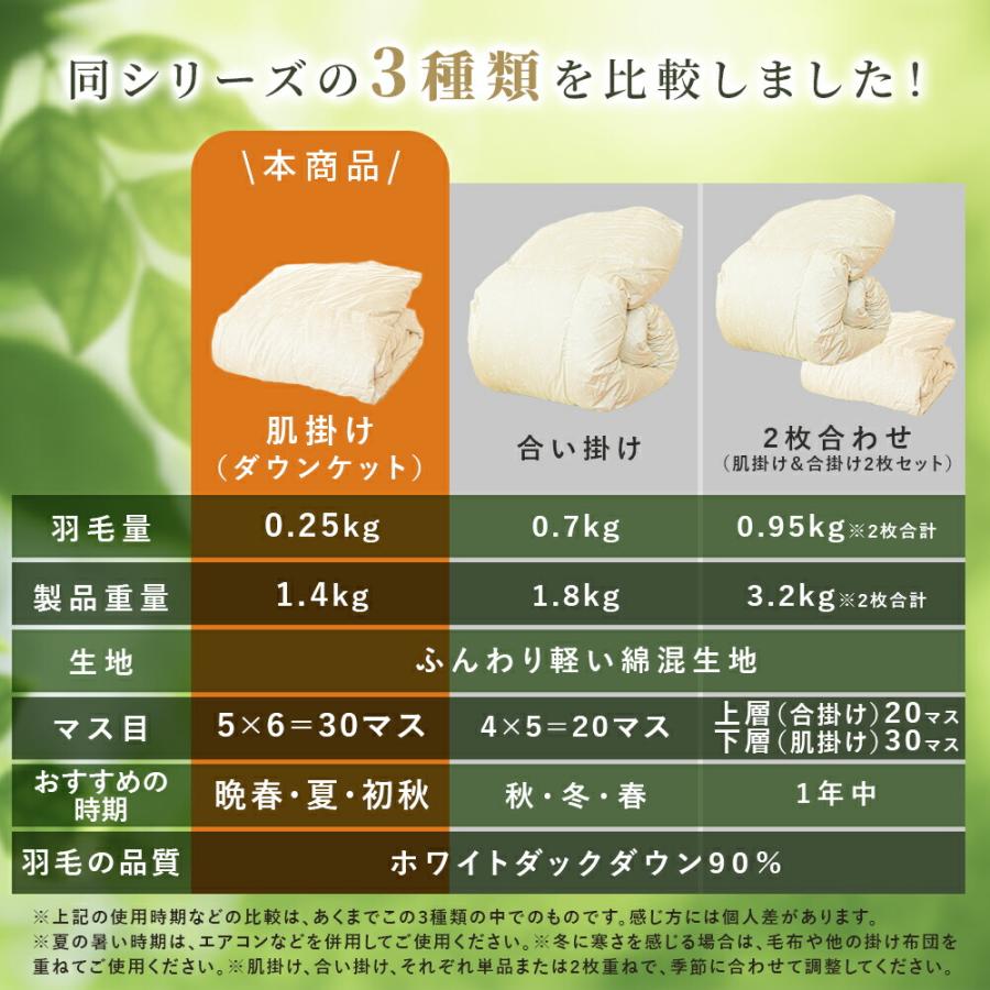 羽毛肌掛け布団 シングル ダウン90％ 250g入り 日本製 エコテックス