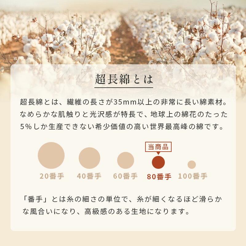 羽毛布団 ダブル カナダ産プレミアムダウン95% 増量1.8kg 440dp 日本製