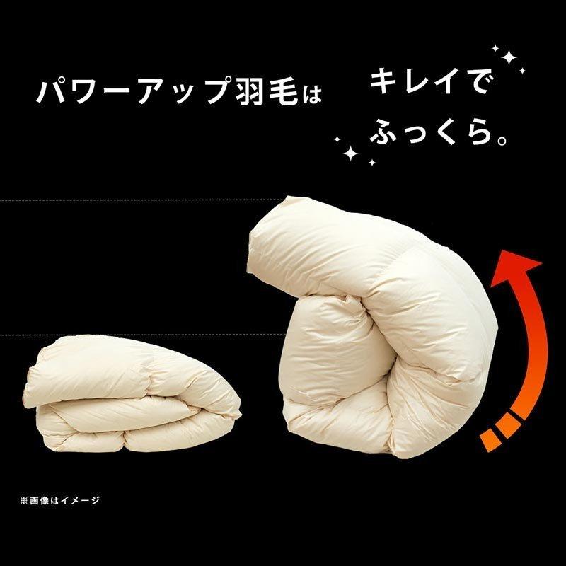 羽毛布団 ダブル 暖かい布団 ポーランド産ダウン93％ 1.7kg 2層キルト
