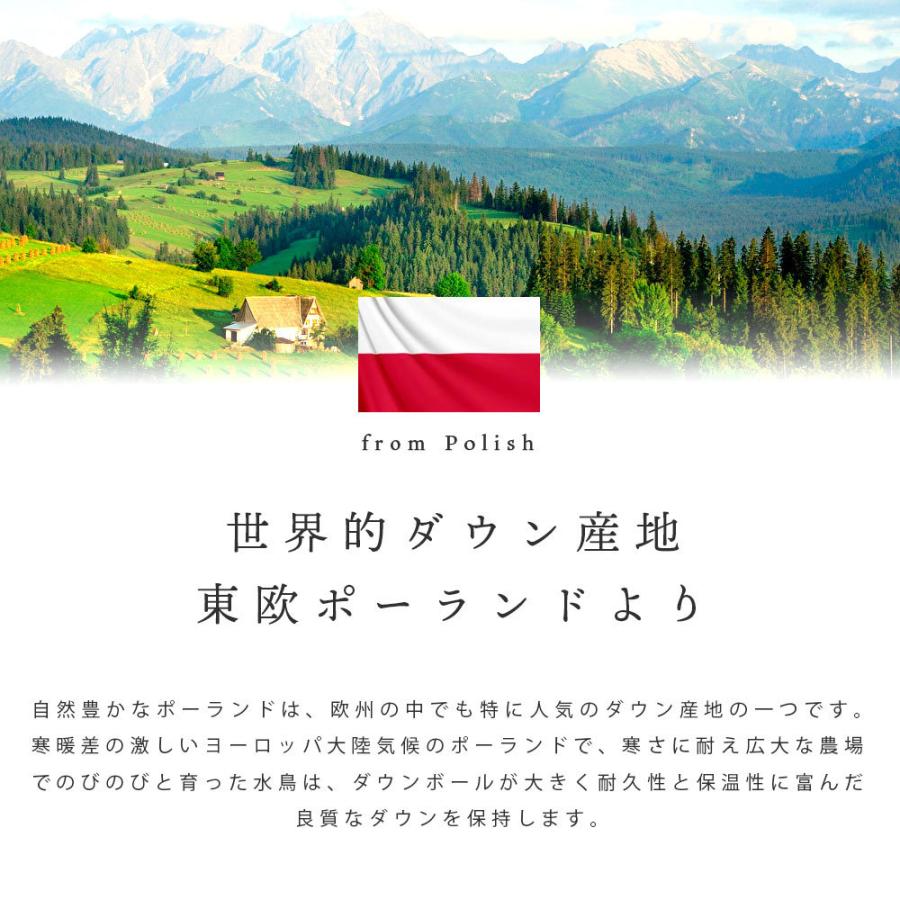 羽毛布団 ダブル 暖かい布団 ポーランド産ダウン93％ 1.7kg 2層キルト 日本製 羽毛掛け布団 ロイヤルゴールドラベル おすすめ｜futon｜14