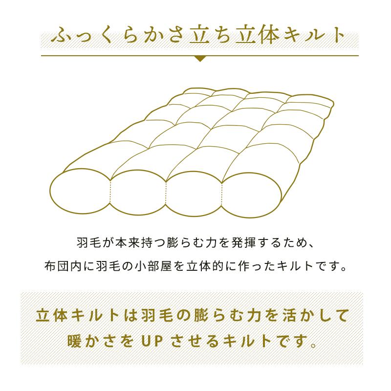 （ダブル）新品＊四つ星エクセル＊フランス産１，７キロ増量＊二層式羽毛布団（ Amazon｜羽毛布団 シングル モリリン ハンガリー産 ホワイト