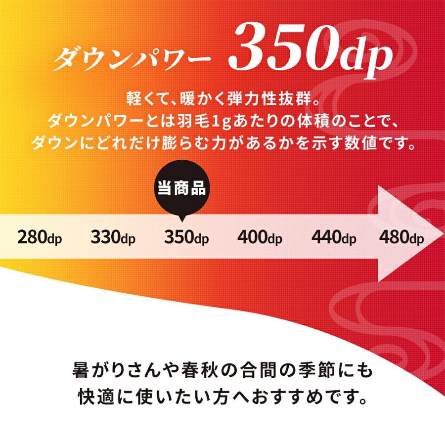 羽毛布団 ダブル フランス産 ダックダウン85％ 1.3kg 日本製 掛け布団 エクセルゴールドラベル |  | 08