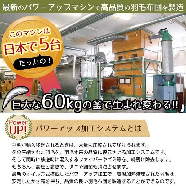 羽毛布団 ダブル 日本製 ダウン85%オールシーズン2枚合わせ羽毛 羽毛布団 ダブル 日本製 ダウン85%オールシーズン2枚合わせ羽毛