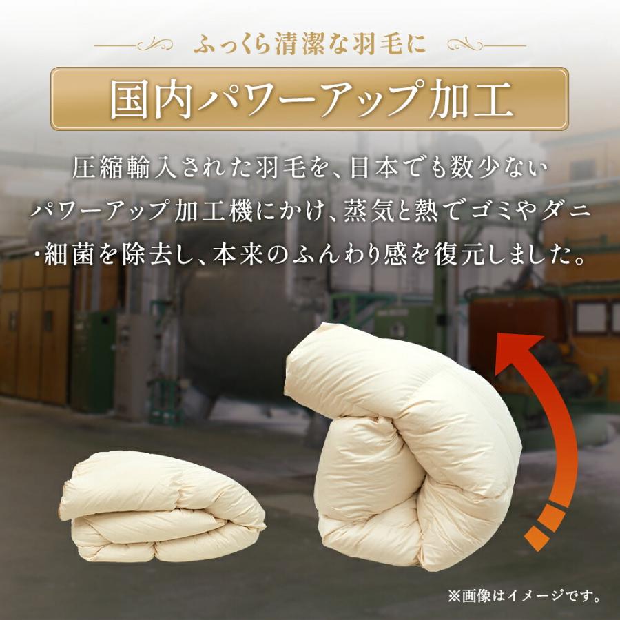 羽毛布団 ダブル 日本製 ダウン85% 2枚合わせ羽毛掛け布団 オール