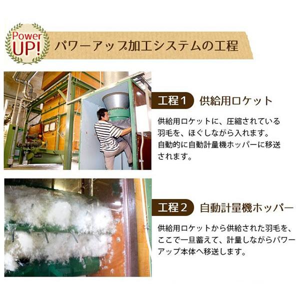 羽毛布団 クイーン 日本製 ダウン85%オールシーズン2枚合わせ羽毛